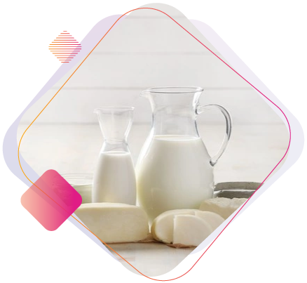 Dairy-Industry_2